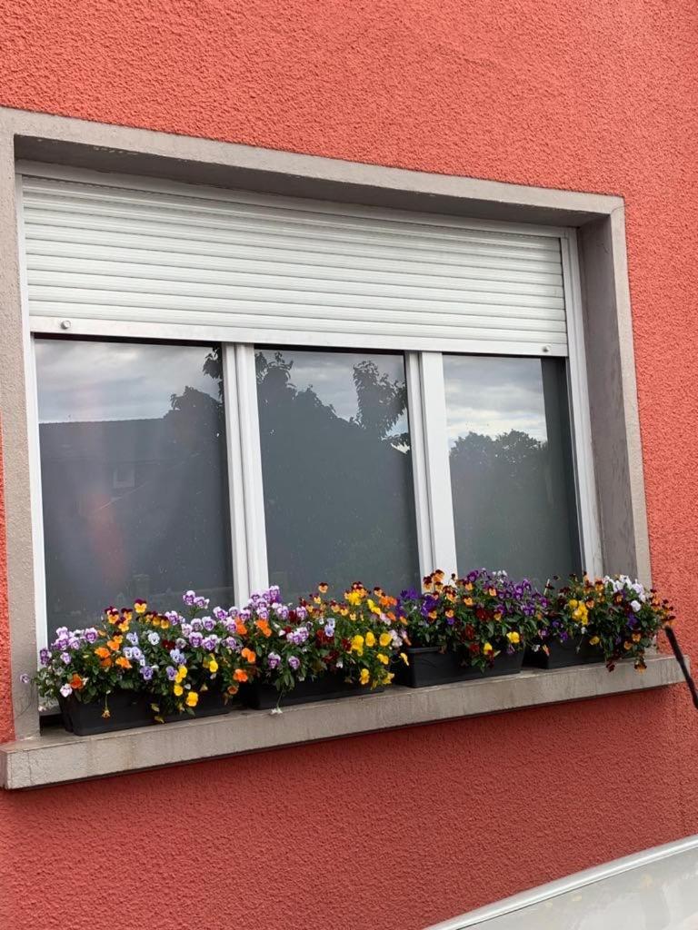 Apartamento Couleur Framboise Longwy Exterior foto